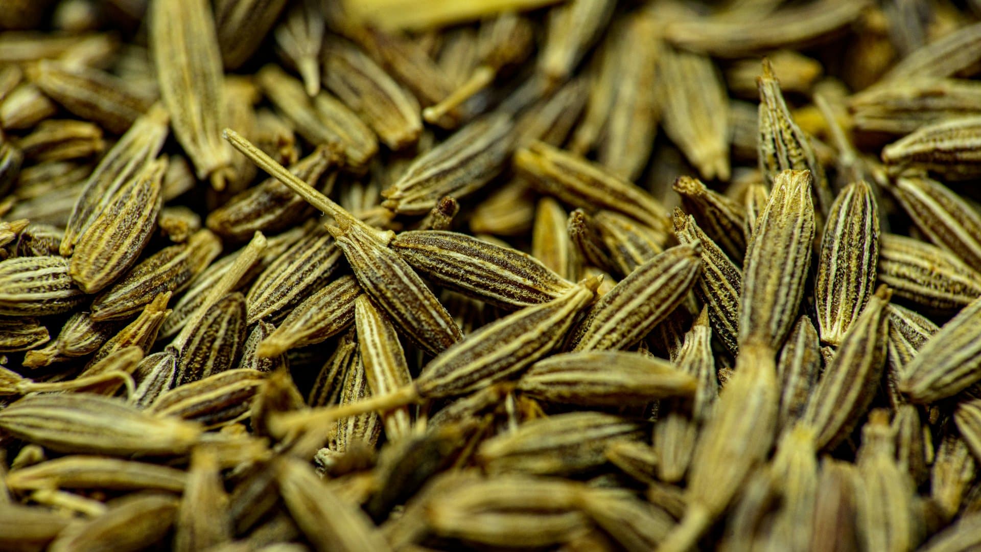 Flax Seed Oil (Alsi)